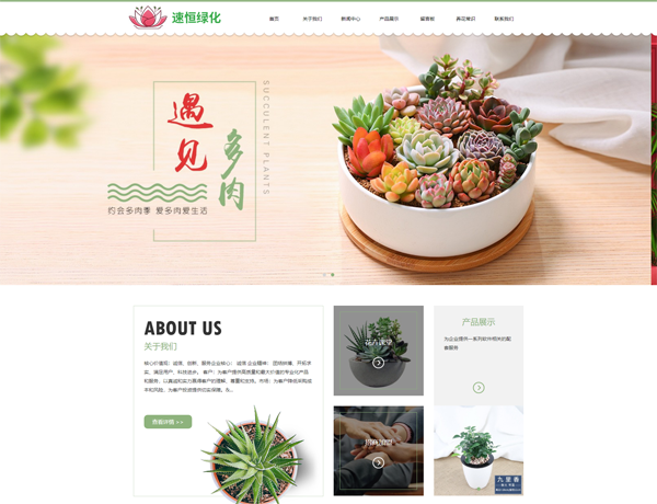  东营网站建设
