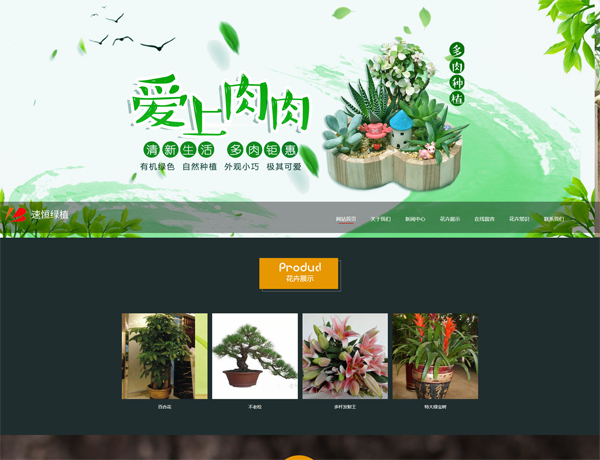  张家口网站建设